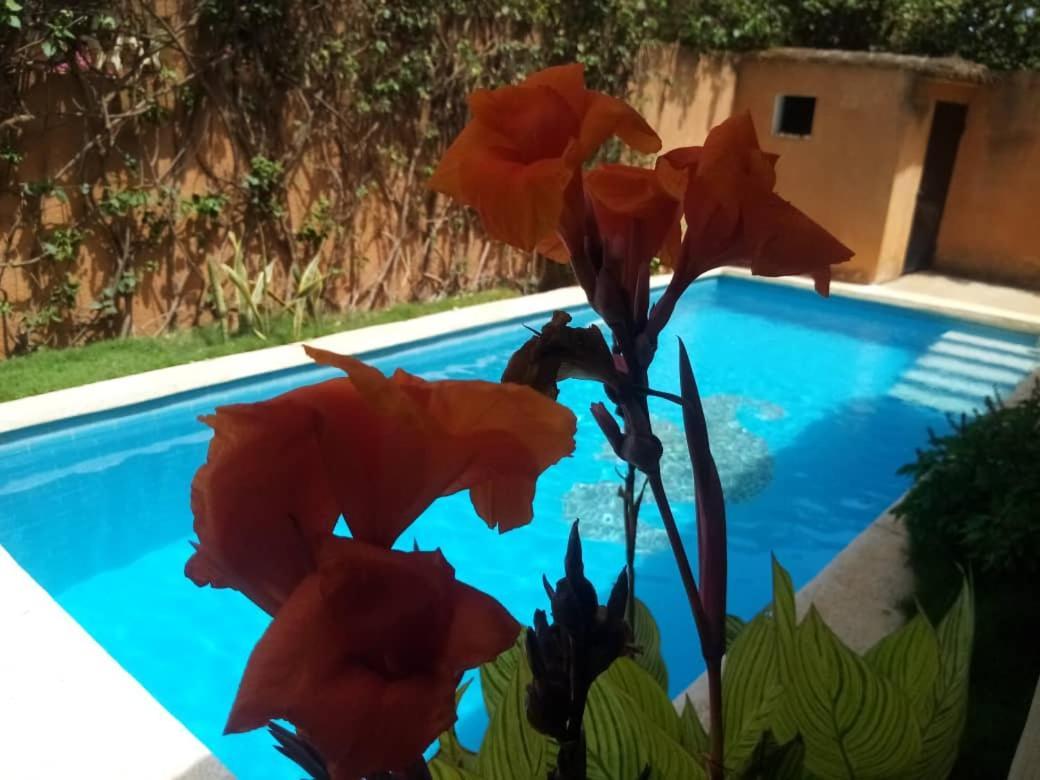 Villa Dallie Saly Portudal Dış mekan fotoğraf